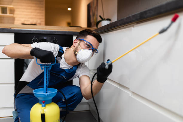 Best Flea Control Services  in Lewisville, NC