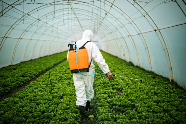Best Pest Prevention Services  in Lewisville, NC