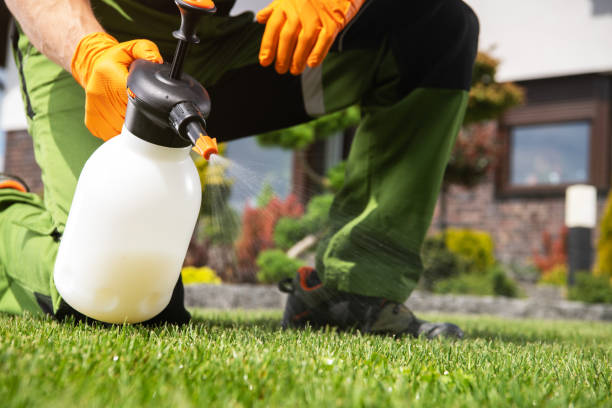 Best Cockroach Control Services  in Lewisville, NC