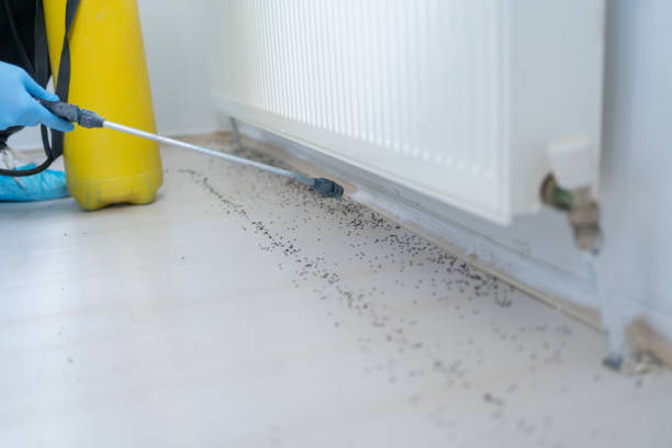 Best Residential Pest Control  in Lewisville, NC