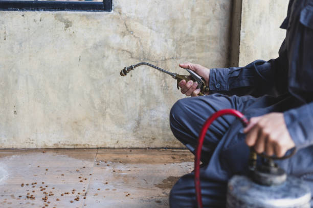 Best Commercial Pest Control Services  in Lewisville, NC
